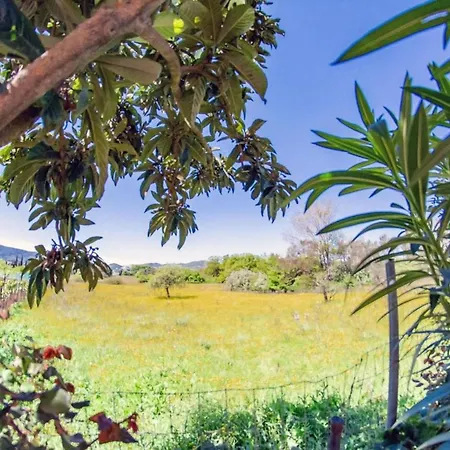Apartman Corfu Dream Holidays L *