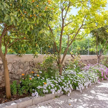Corfu Dream Holidays L Apartman Kouramaditika