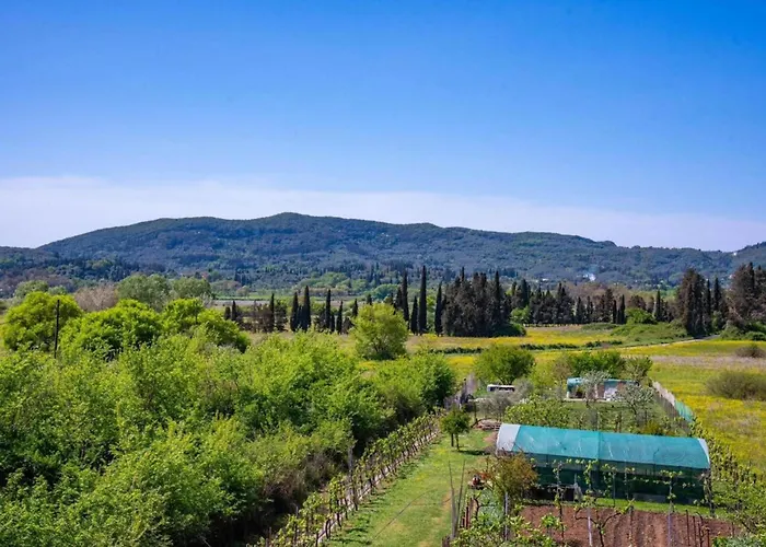 Daire Corfu Dream Holidays L Kouramaditika