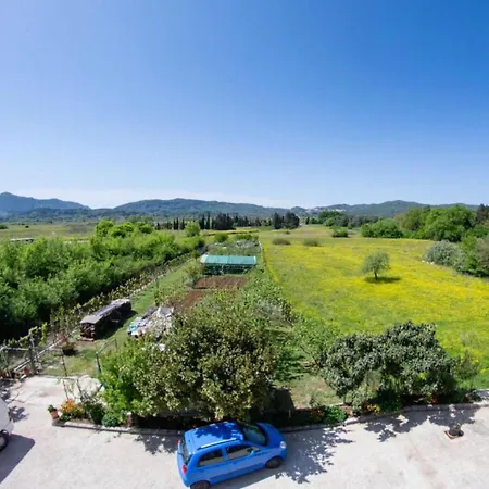 Corfu Dream Holidays L Apartment